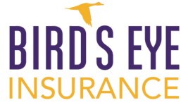 Bird's Eye Insurance Logo
